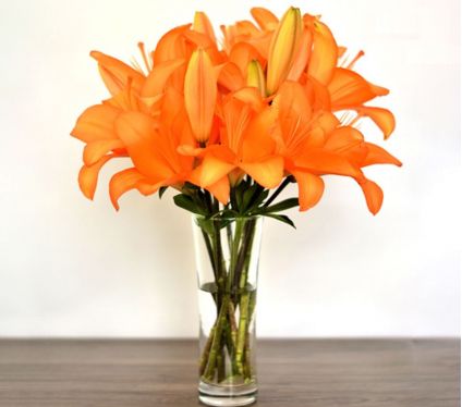 Bunch of 10 orange lilies in Vase
