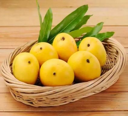 Fresh Mango in Basket