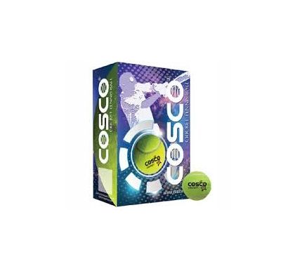 6 pieces cosco cricket ball