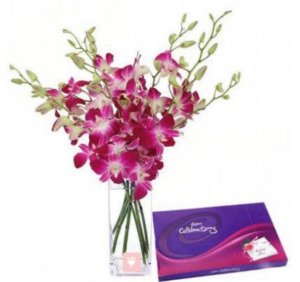 Orchids and celebration Pack