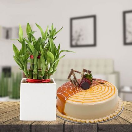 Lucky Bamboo With Butterscotch Cake