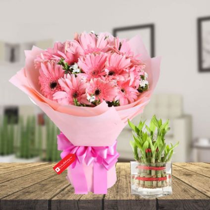 Pink Gerbera & 2 layer bamboo with vase