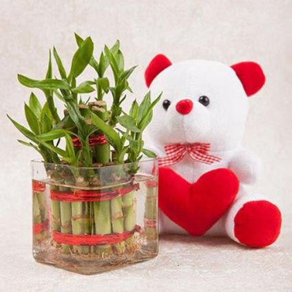 Bamboo with soft toy