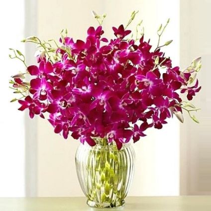 Purple Orchid with vase