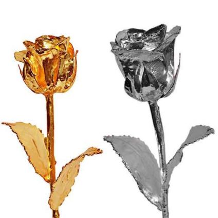 6 Inch Golden Rose and 6 Inch Silver Rose