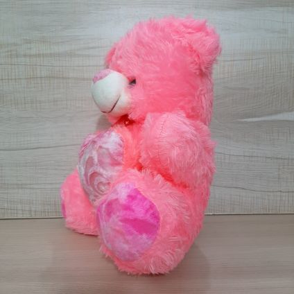 Pinky Heart Teddy Bear