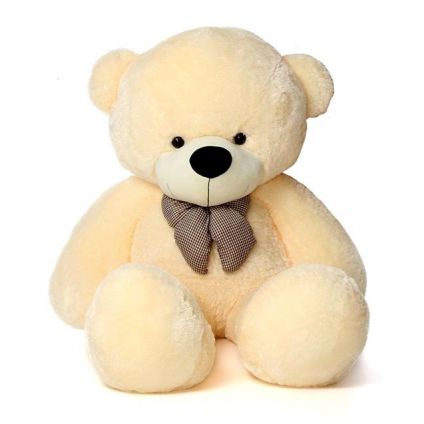 Cutiee Teddy bear
