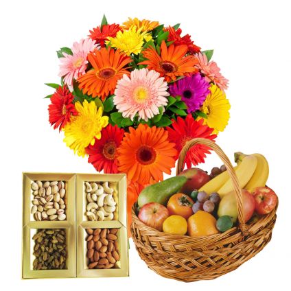 3 kg fresh fruits, 1/2 kg dry fruits and 12 mixed gerberas