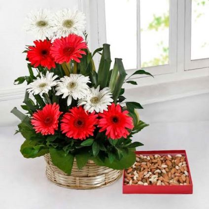 Mixed Gerbera Dry Fruits Combo