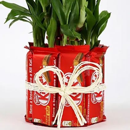 Lucky Bamboo Kit Kat Chocolates