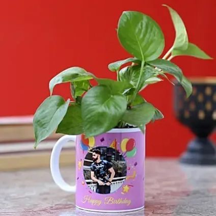 Money Plant in Personalized Mug