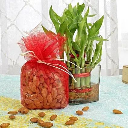 Lucky Bamboo & Almonds