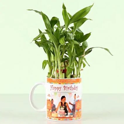 Personalized Birthday Mug with Bamboo Plant