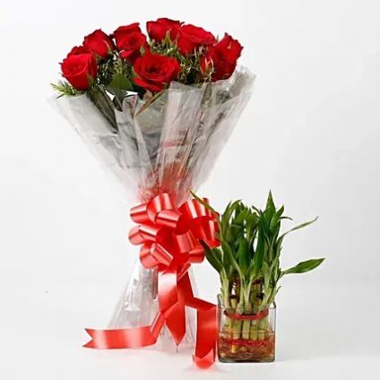 Lucky Bamboo With Red Roses Bouquet