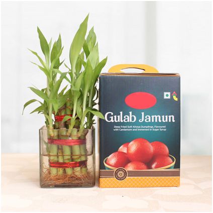Bamboo with Gulab Jamun