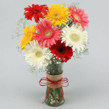 10 Mixed Gerbera with Vase