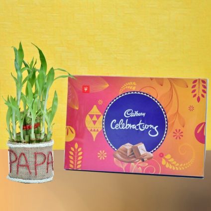 Lucky Bamboo with Chocolate for PAPA