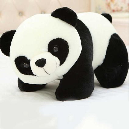 Cute Panda