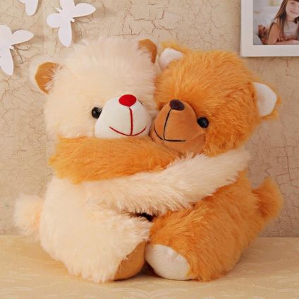 Couple teddy bear for Friend