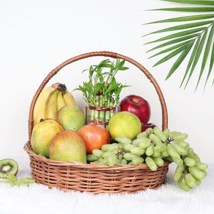 Fruit Basket n Bamboo Plant