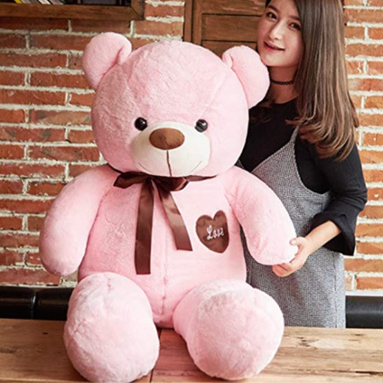 Soft Pink Teddy Bear