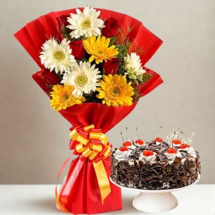 Mixed Gerbera With Black Forest Cake
