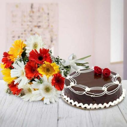 Mixed Gerbera With Truffle Cake