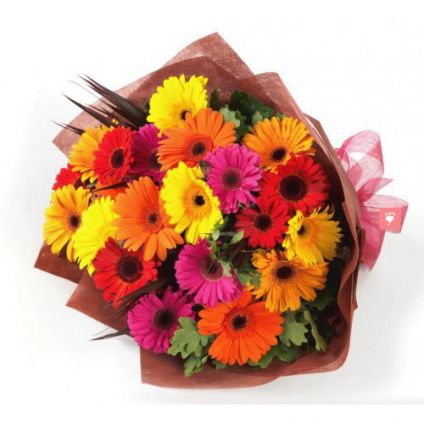 Mixed Gerberas Arrangements