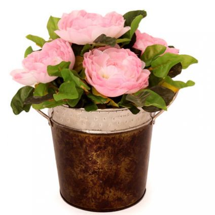 Pink Roses In A Metal Basket