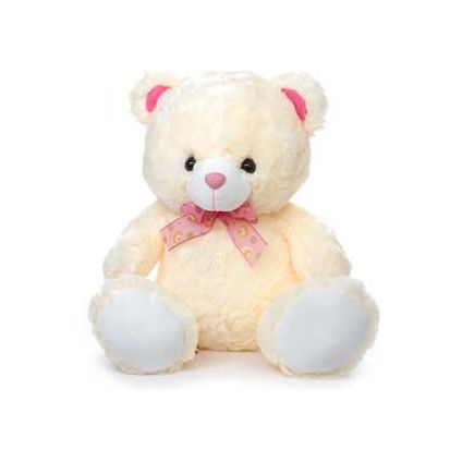 Online teddy clearance