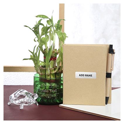 Bamboo Plant in Glass with Notepad & Tortoise