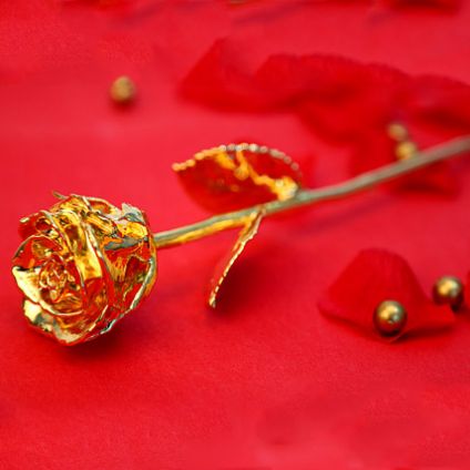 Golden Valentine Rose