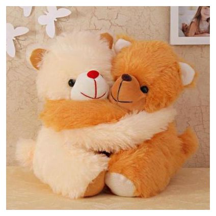 Teddy hug top