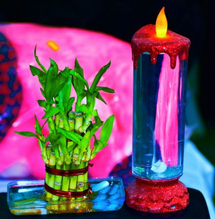 Candle N Bamboo Plant