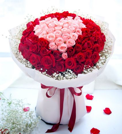 Bunch of Pink and Red Roses