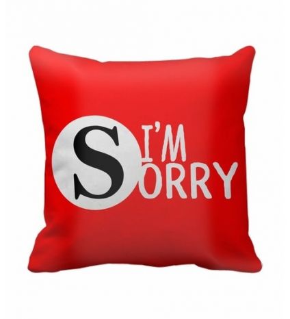 I Am Sorry Cushion