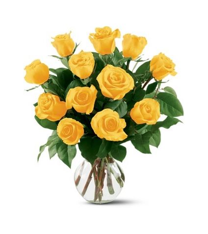 12 Yellow Rises with vase
