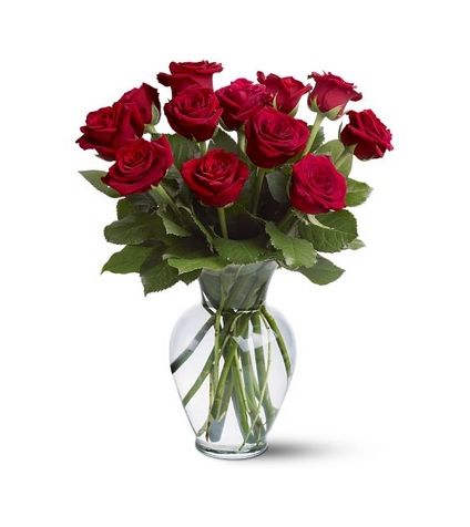 Bunch of 12 beautiful red roses