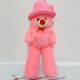 Pinky Teddy bear