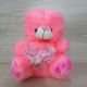 Pinky Heart Teddy Bear