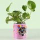 Money Plant in Personalized Mug