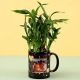 Lucky Bamboo In Black Patch Mug