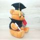 Graduate Teddy Soft Toy