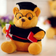 Graduate Teddy Soft Toy