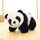 Panda Cute Soft