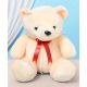 Cream Teddy Bear